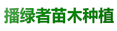 南县播绿者苗木种植专业合作社-南县水杉|南县池衫|南县落羽杉